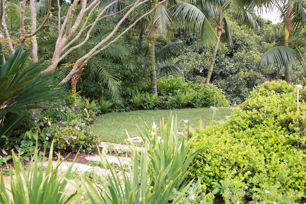 hose on fertiliser on spring, green lush garden, handyman magazine,
