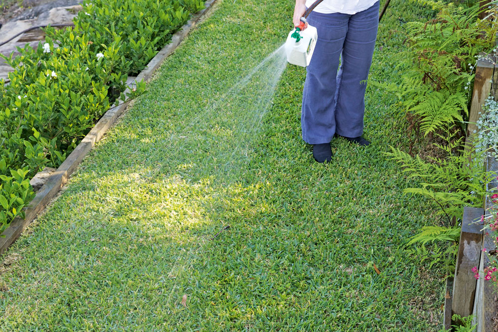 fertilise lawn in spring, handyman magazine, 