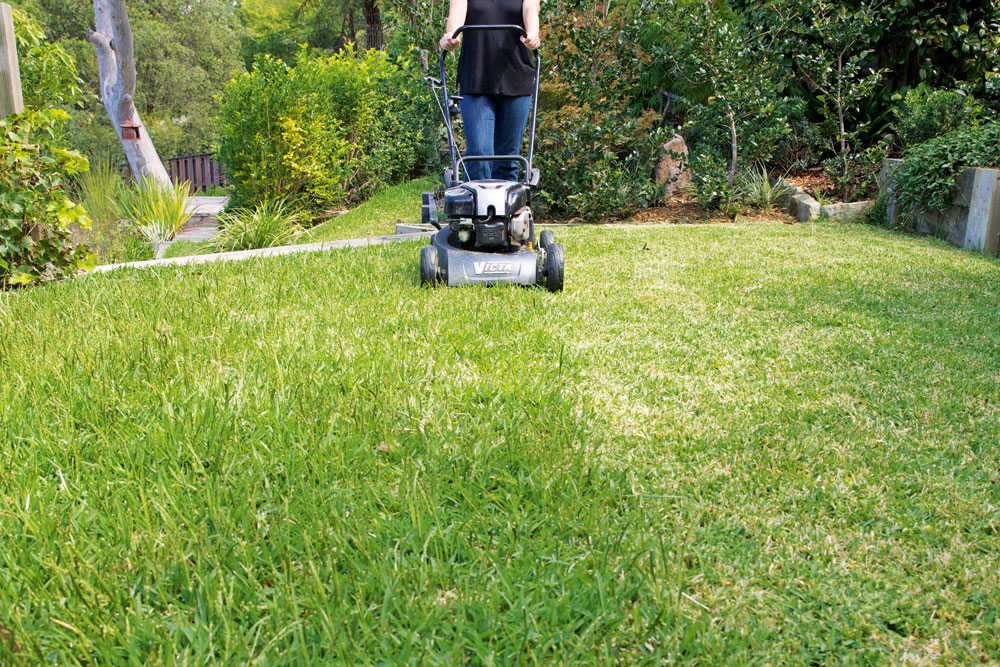 how to mow grass in spring 