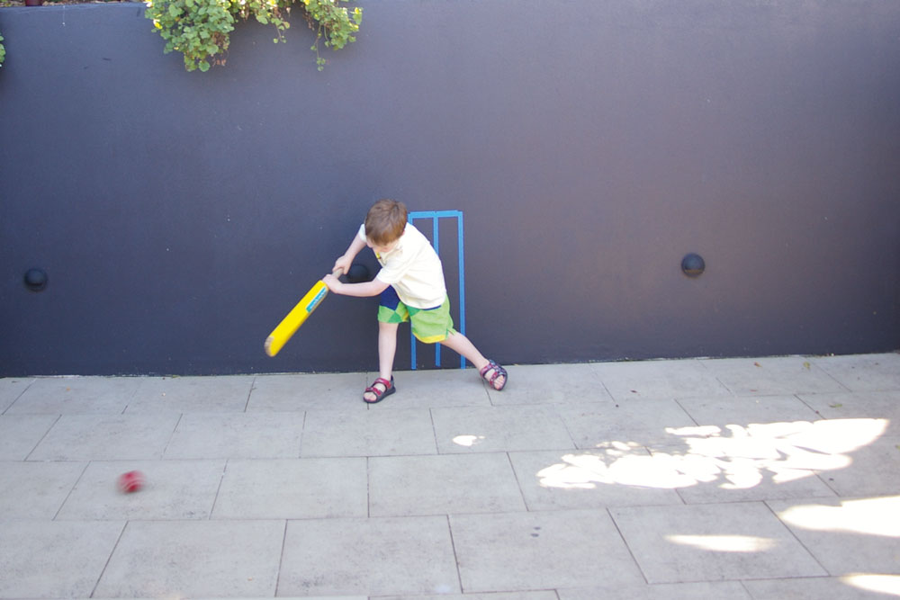 create a cricket pitch on the wall, handyman magazine 