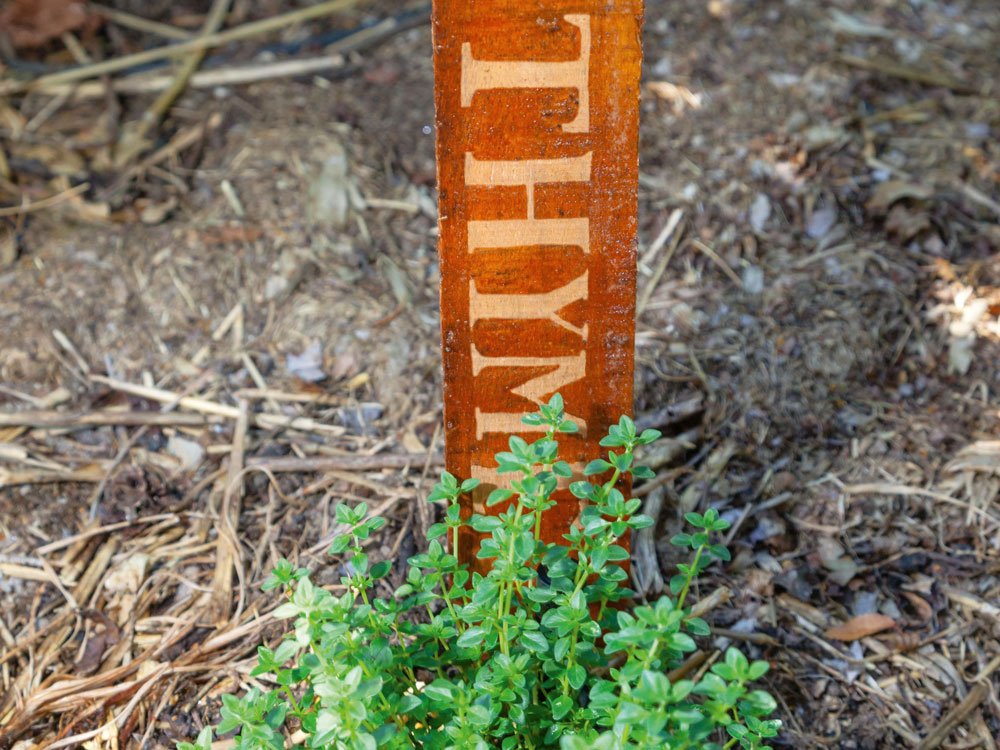 thyme herb sign, add writing to a wooden post, handyman magazine, 