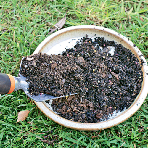 scoop out soil, handyman magazine, 