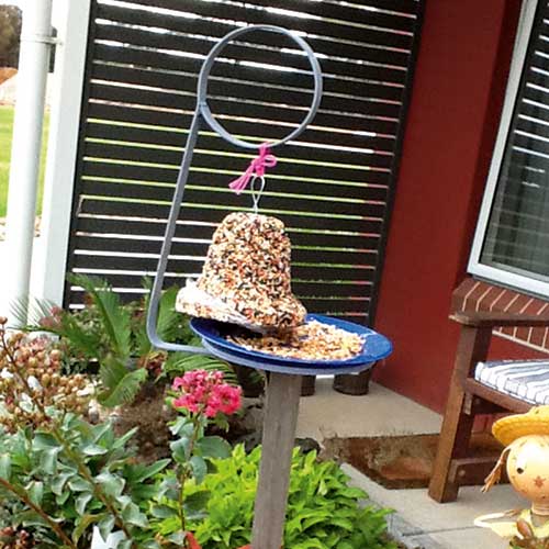 bell-shaped bird feeder