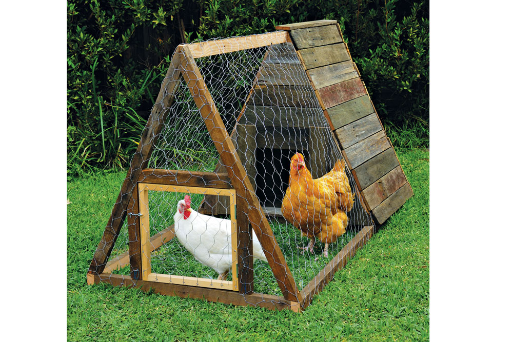 A coop should allow at least 0.4 square metres per laying hen