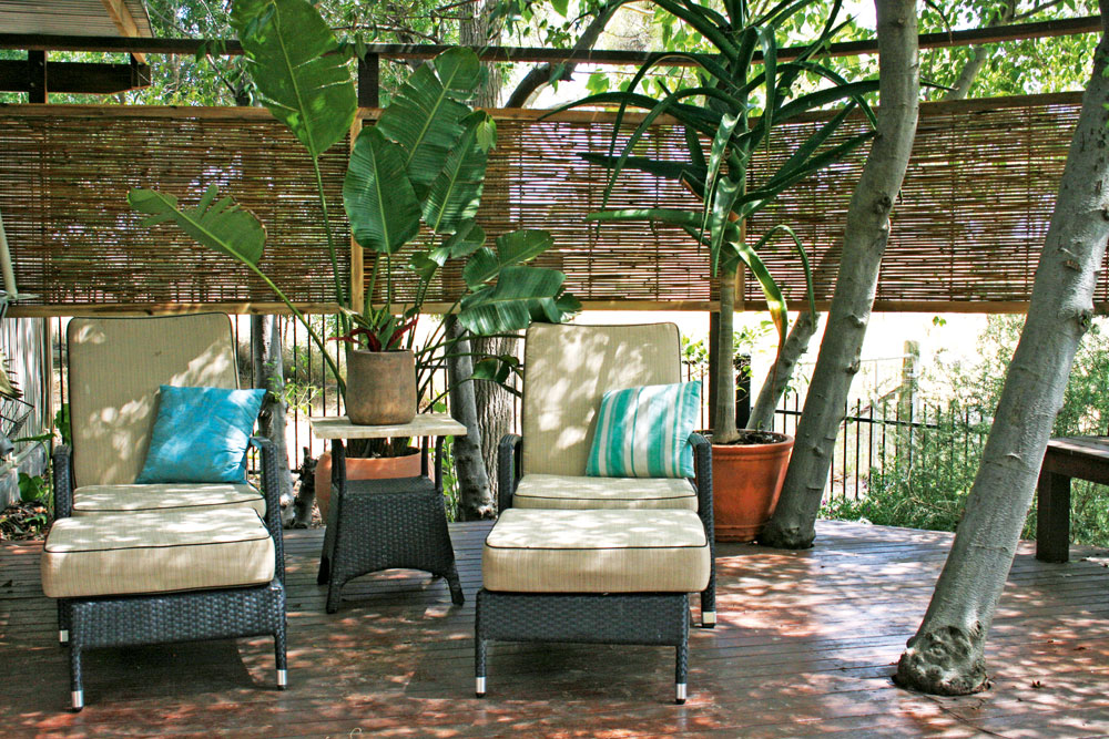 Landscape For Privacy Australian Handyman Magazine