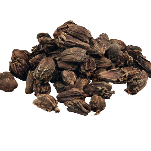 cardamom, handyman magazine,